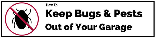 Tieni gli insetti fuori dal garage in 8 semplici passaggi