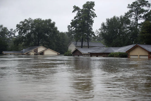 Lo que Wikipedia no te puede decir sobre la inundación de garaje